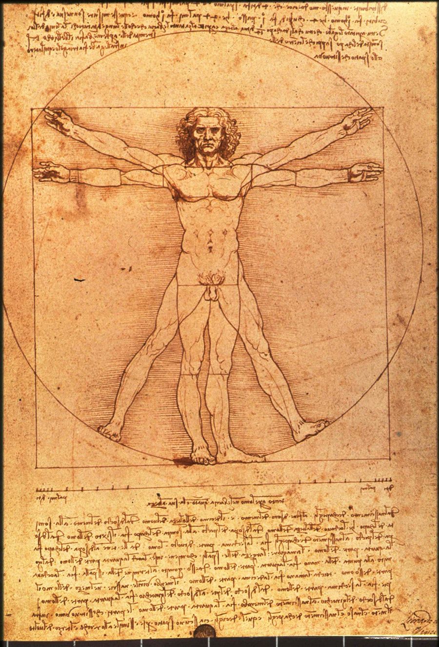 Vitruvian man Leonardo